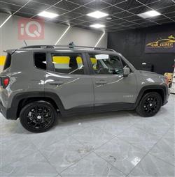 جيب رينيجيد